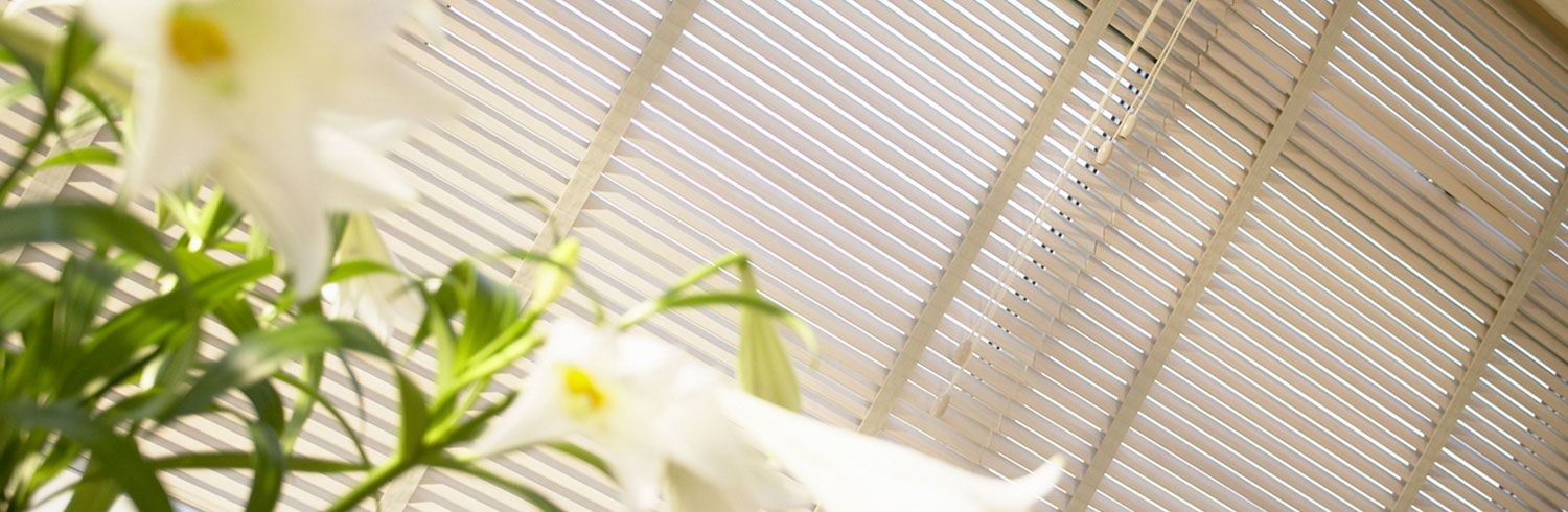 Blinds and curtains by BBD Blinds Ltd