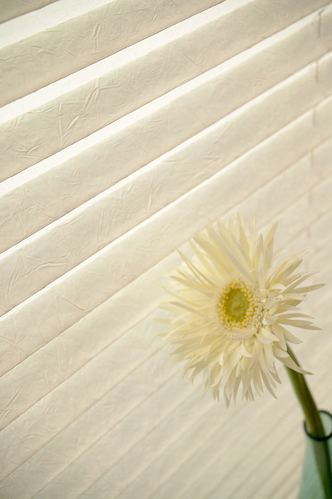 Crush Vanilla Pleated Blinds by BBD Blinds Ltd - Bishops Stortford